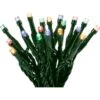 LED Lichterkette 80 Bunte LEDs 8 Funktionen Innen Und Außen