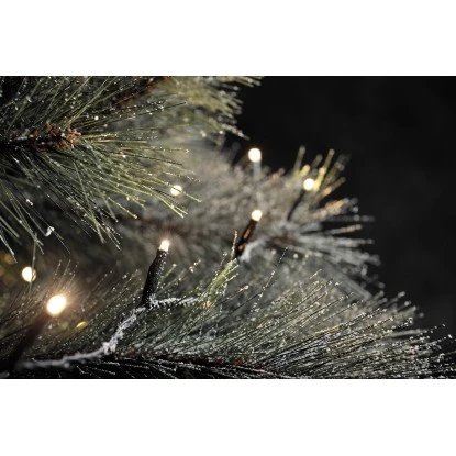 Konstsmide Micro-LED-Kompakt-System Start-Set 100 LED Warmweiß 3 Konstsmide Micro-LED-Kompakt-System Start-Set 100 LED Warmweiß – Bild 3