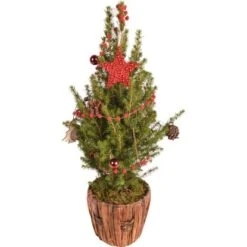 Dekorierte Zuckerhut-Fichte Im Holzgefäß Topf Ø Ca. 16,5 Cm Picea Glauca